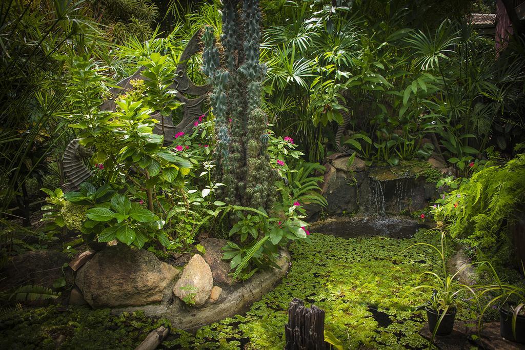Pousada Fenix Pirenópolis Екстериор снимка